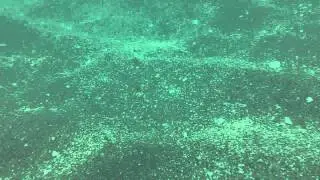 Underwater Snorkeling 4-11-12