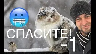 В Израиле  СНЕГ ШОК снег? Кайф для всех #israel #израиль #funny #life #travel #top #снег