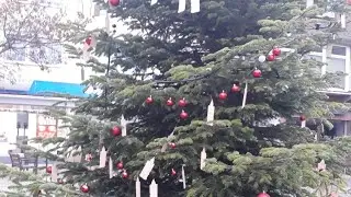 Новогодние Ёлки в нашем городке! (#жизнь в Германии) Said Ozdoev
