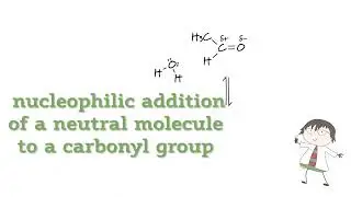 Nucleophilic addition with a neutral nucleophile