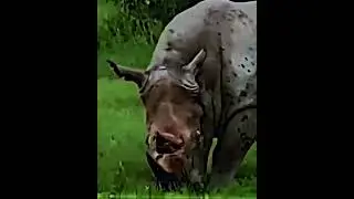Я вернулся