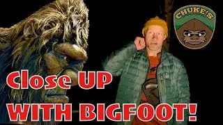 Alaska Bigfoot Studies: An Alaskan's Bigfoot Sighting in McMinnville Oregon