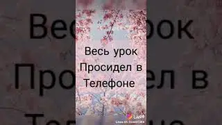 Что делал (а) на  уроке?