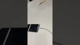 КРУТОЕ ВИДЕО ЗА 5 МИНУТ!!!!!