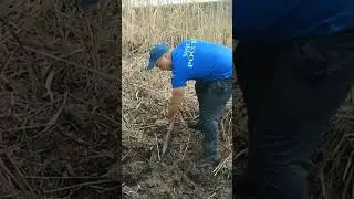 капаем и капаем, ни как не выкапаем