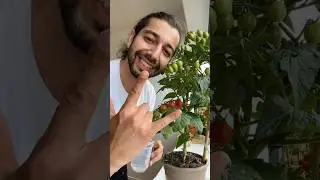 Peroxide Magic for Plants! creative explained