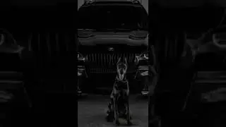 BMW 💙 scromna