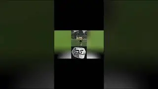 Trollfase