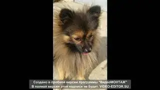 Видео  слайды  От  Анатолия