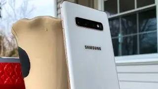 Samsung Galaxy S10+ Review