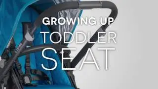 Детская коляска 2 в 1 UPPAbaby Vista