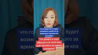 #юрист