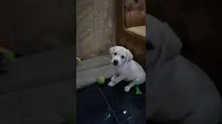 Футбол в троем😍