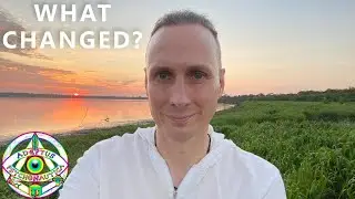 The outcome of my ayahuasca retreat in the Amazon jungle