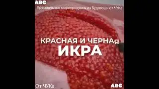 Отдыхаем!