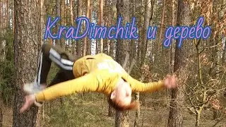 Красиво снятая сальтушка от дерева