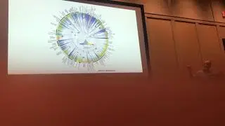 Imfeld: Species diversification and morphological evolution are not uniform