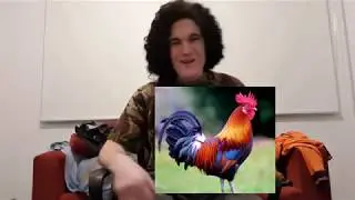 UPDATE on the beachboy situation