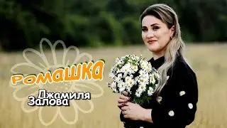 Джамиля Залова   Ромашка | Премьера клипа 2021