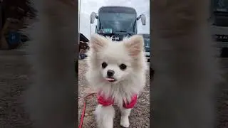 Что взять в путешествие? 