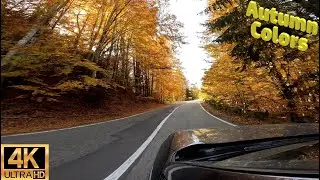 Autumn colors mountain route
