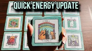 Quick Energy Update 🩵💚 Their Feelings & Thoughts 💚🩵 Timeless Tarot 🩵💚 Hindi-Urdu
