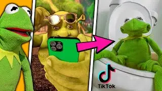 Tik Tok Memes Approved by Kermit the Frog