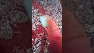 тик ток 🦄