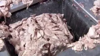 How Its Made: Hot Dogs