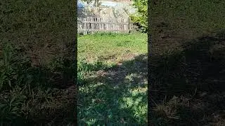 Не греши против тела Христова !