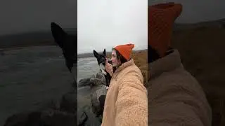 Жизнь в Арктике