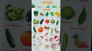 Vegetable Name In English || 10 Vegetable Name || #shorts #ytshorts #youtubeshorts #shortvideo