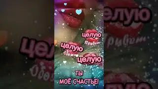 15 марта 2024 г.