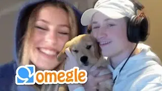 GETTING GIRLS WITH MY PUPPY