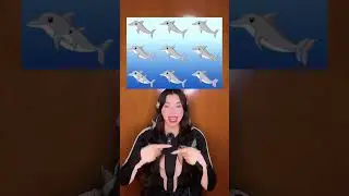 ¿Cuántos delfines puedes ver en la imagen? #Shorts