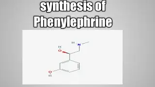 synthesis of Phenylephrine B pharma 4th semester