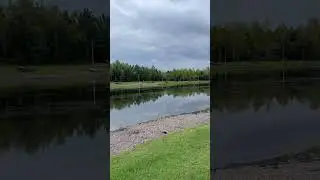 Без слов…