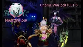 Vanilla Wow Journey - gnome warlock lvl 1-5