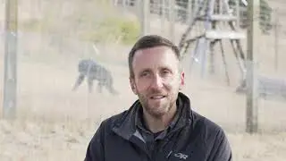 Perspective from J.B. Mulcahy — Chimps' Charm | Saving Chimps