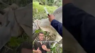 Why does he do this before the injection? 🤔