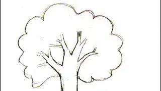 Drawing a tree