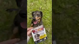 With formulas designed for every size breed, keep your pets protected from pesky pests with PetLock!