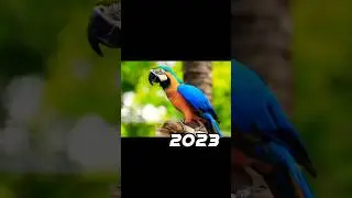 2023 parrot 🦜 vs 5000 bce parrot 💥 #viral #shorts