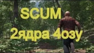 scum на слабом пк