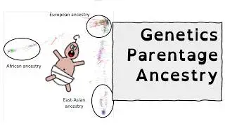 Parent-Child vs. Ancestry: The Truth About Genetic Relationships