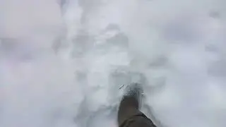 новая изба