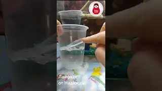 Сами родили, сами съели!