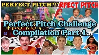 Sharpe Family Singers Perfect Pitch Challenge Compilation Part 1