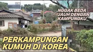 EXPLORING THE KOREAN RURAL IN AUTUMN | TAKING A CITY BUS TO THE MARKET