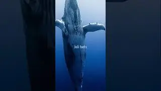 ФАКТЫ О ЖИВОТНЫХ, КОТОРЫЕ ТЫ НЕ ЗНАЛ